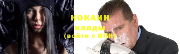 мдпв Козловка