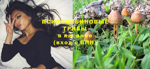 спайс Алексеевка